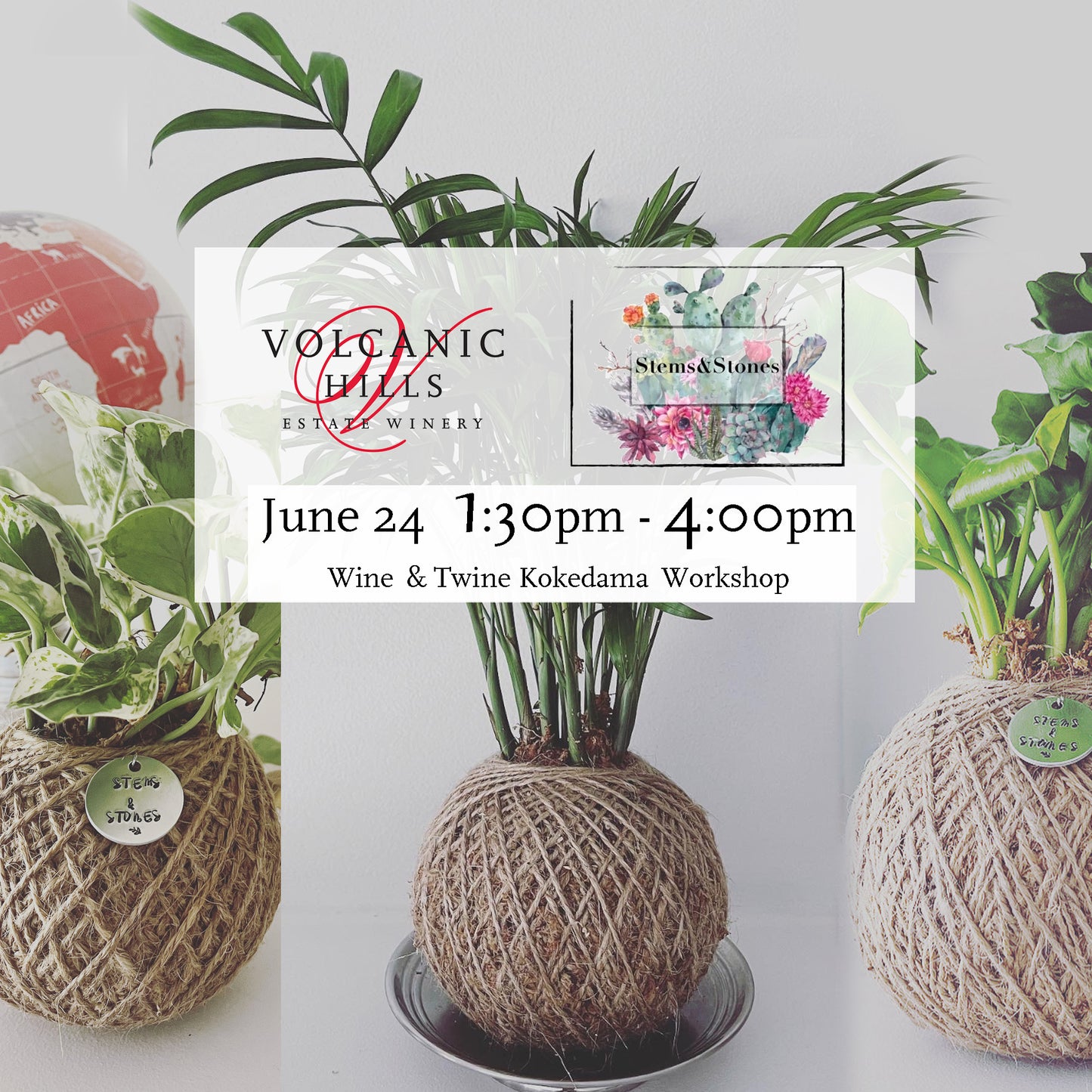 Wine & Twine Kokedama Workshop