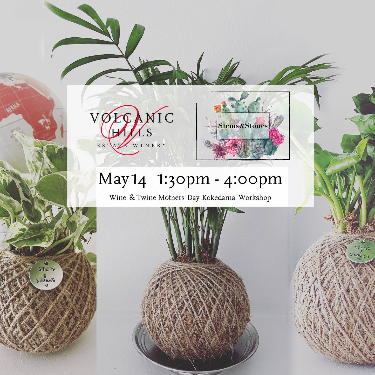 Wine & Twine Mothers Day Kokedama Workshop