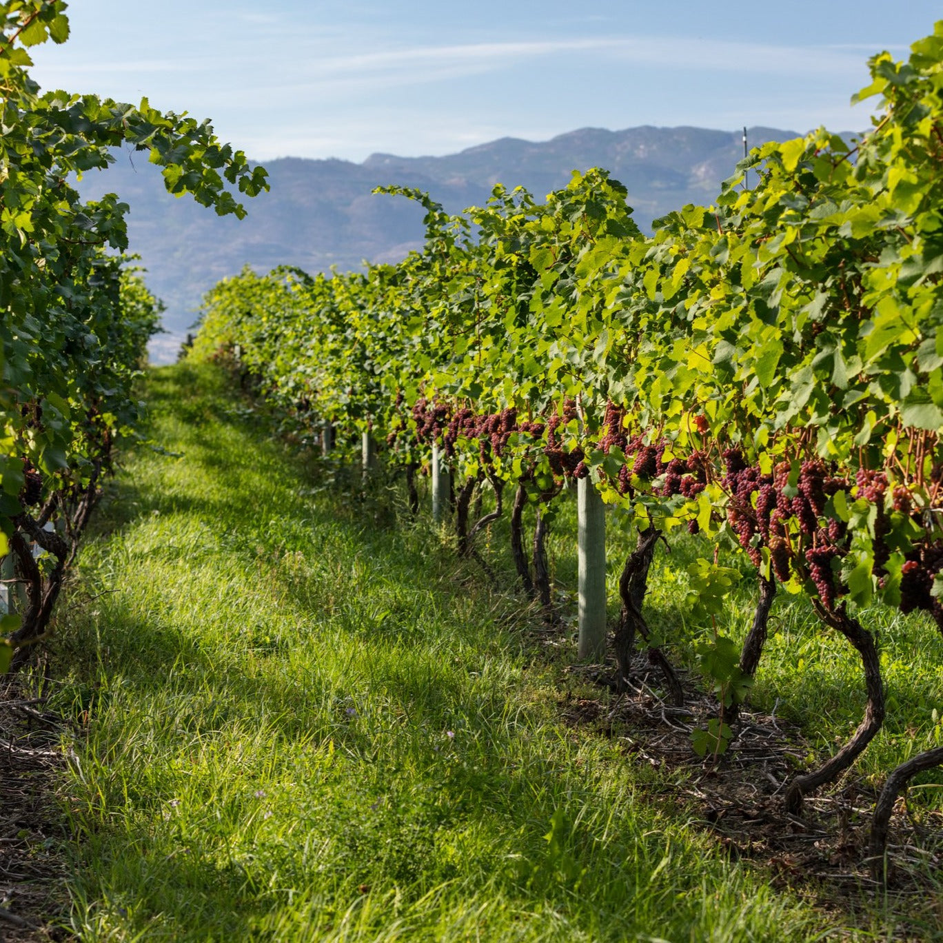 Signature Tour Operator Tasting