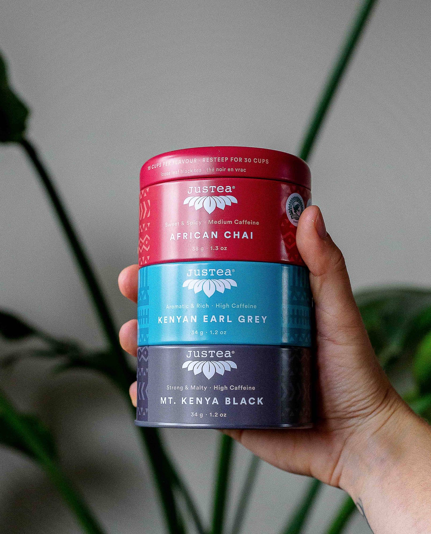 Black Tea Trio Tin & Spoon