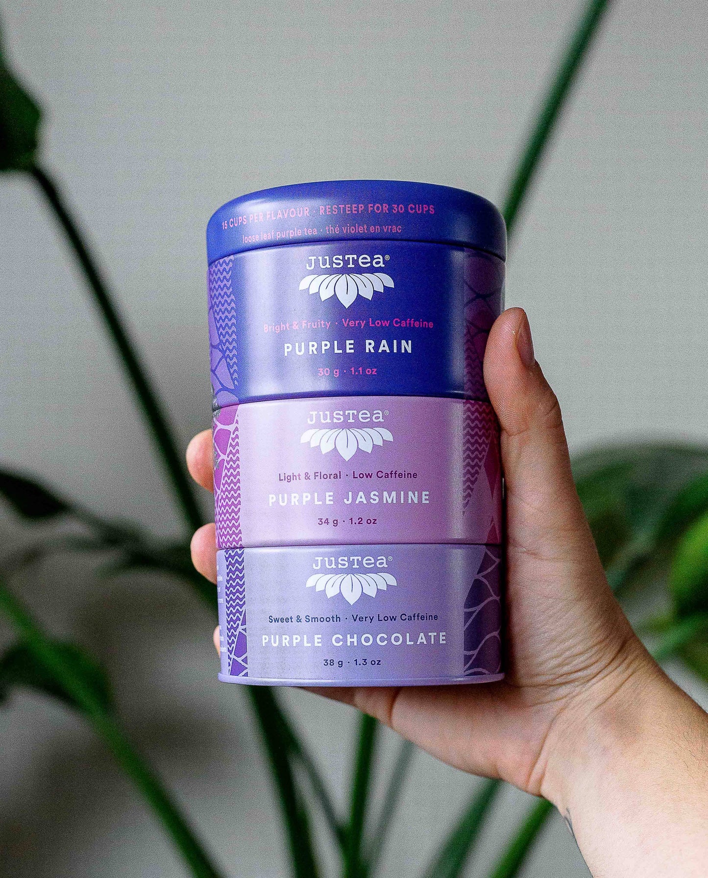 Purple Tea Trio Tin & Spoon